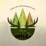 Environment Cell logo - Sinchana Gowda